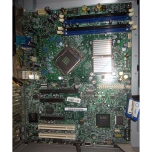 Материнская плата Intel Server Board S3200SH s.775 (Барнаул)