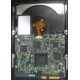 Электроника жёсткого диска 146Gb HP 481653-002 DF146BAFDU (Барнаул)