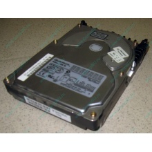 Жесткий диск 18.4Gb Quantum Atlas 10K III U160 SCSI 80 pin (Барнаул)