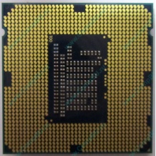 Процессор Intel Celeron G1620 (2x2.7GHz /L3 2048kb) SR10L s.1155 (Барнаул)