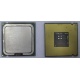 Процессор Intel Celeron D 336 (2.8GHz /256kb /533MHz) SL98W s.775 (Барнаул)