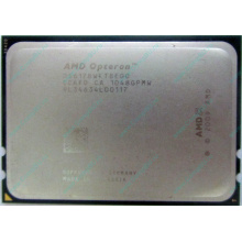 Процессор AMD Opteron 6128 (8x2.0GHz) OS6128WKT8EGO s.G34 (Барнаул)