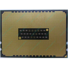 AMD Opteron 6128 OS6128WKT8EGO (Барнаул)