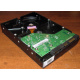 Жесткий диск 500Gb HP 634605-003 613208-001 WD WD5000AAKX 7.2k SATA (Барнаул)