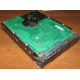 Жесткий диск 300Gb 15k Seagate Cheetach ST3300656SS 15K.6 Dell 9CH066-050 6G SAS (Барнаул)